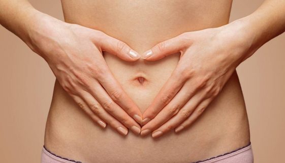 Táplálkozás és anyagcsere