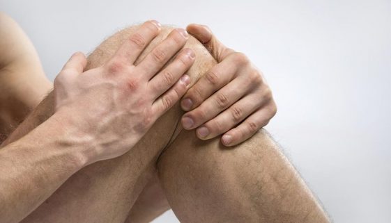 Térdízület szerkezete és működése